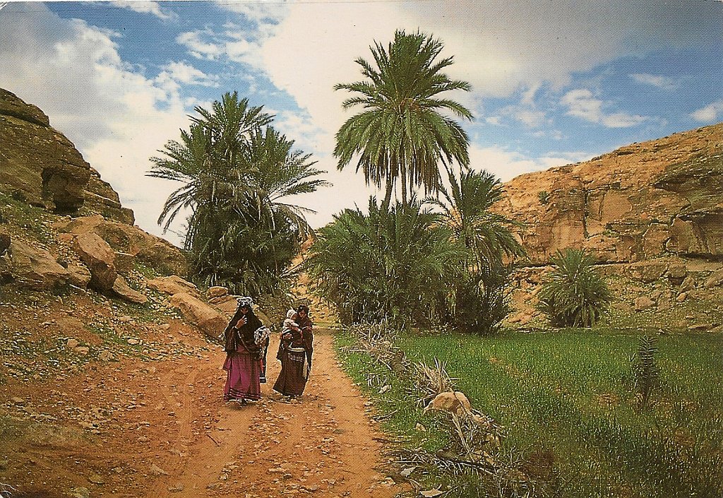 beni abbes  (14).jpg